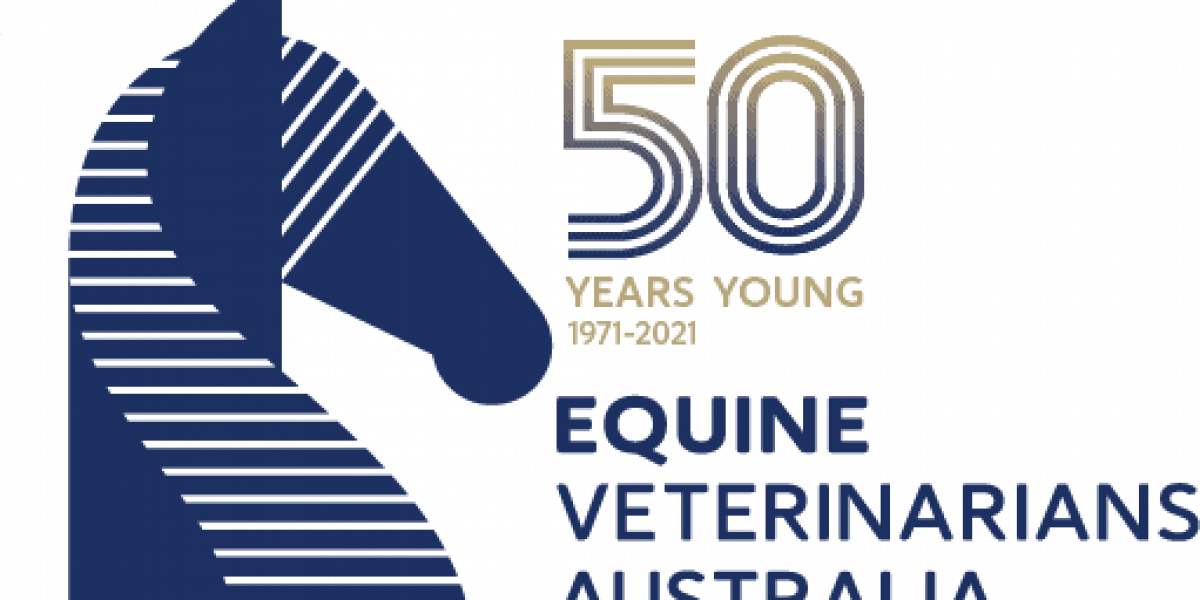 Bain Fallon 50 years young logo