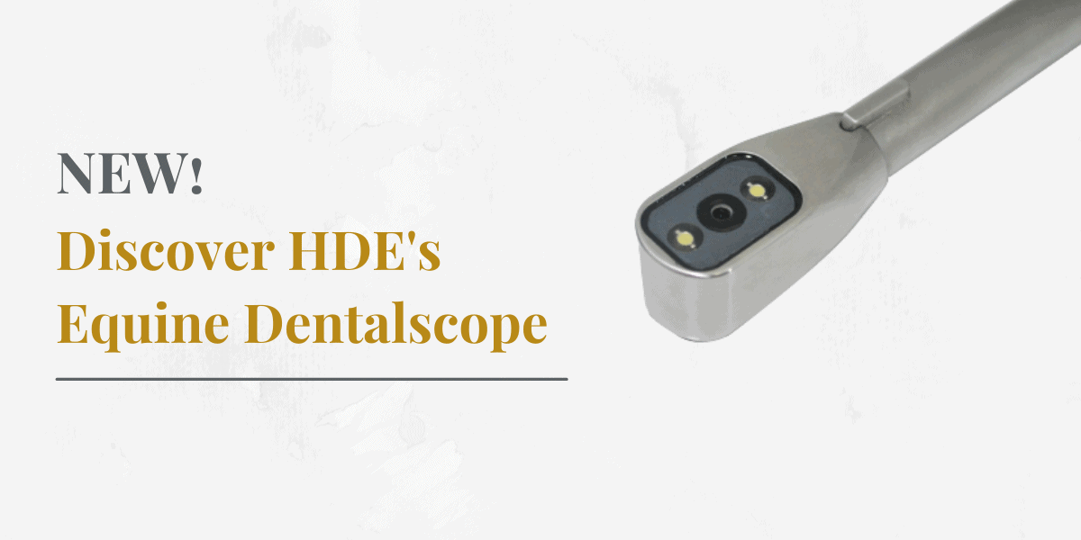 HDE's new equine dentalscope
