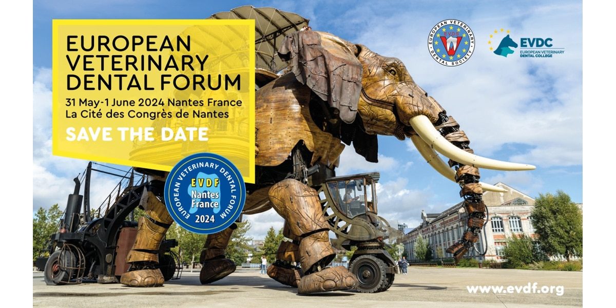 European Veterinary Dental Forum 2024 Horse Dental Equipment