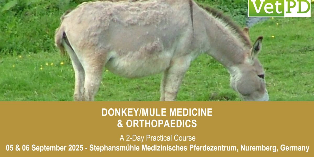 VetPD Course - Donkey/Mule Medicine & Orthopaedics
