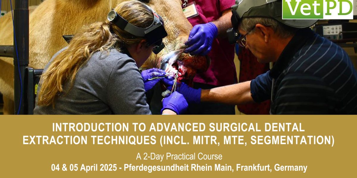 VetPD Course - Introduction to Advanced Surgical Dental Extraction Techniques (incl. MITR, MTE & Segmentation)