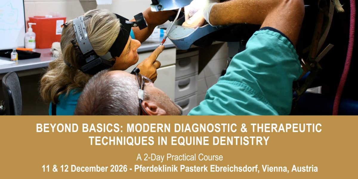 VetPD Course - Beyond Basics: Modern Diagnostic & Therapeutic Techniques in Equine Dentistry - 11 & 12 December 2026 - Austria