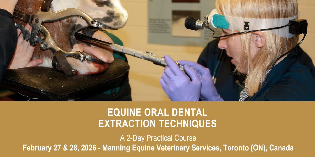VetPD Course - Equine Oral Dental Extraction Techniques - 27 & 28 February 2026 - Canada