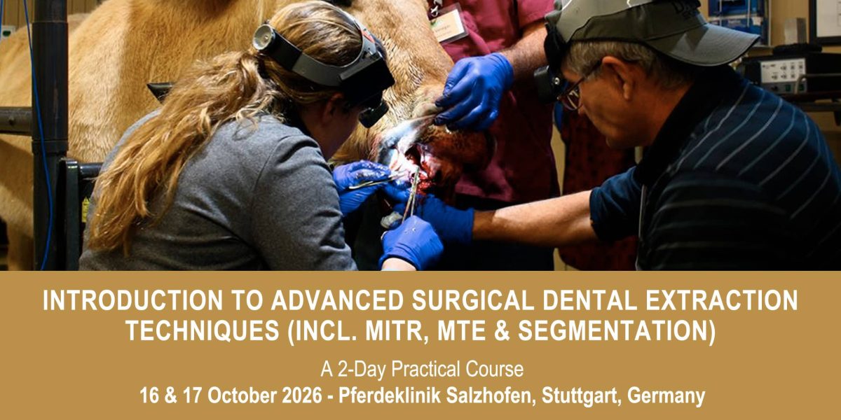 VetPD Course – Introducation to Advanced Surgical Dental Extraction Techniques (incl. MITR, MTE & Segmentation) – 16 & 17 October 2026 – Germany VetPD Course - Introducation to Advanced Surgical Dental Extraction Techniques (incl. MITR, MTE & Segmentation) - 16 & 17 October 2026 - Germany