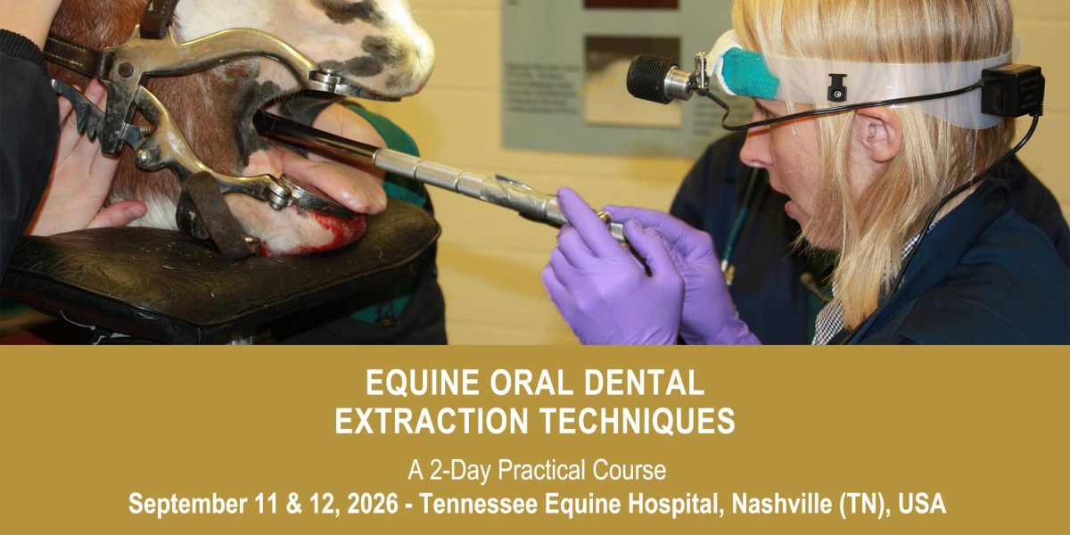 VetPD Course - Equine Oral Dental Extraction Techniques - September 11 & 12, 2026 - USA