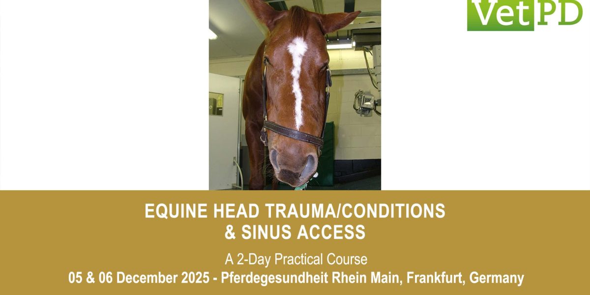 VetPD Course - Equine Head Trauma/Conditions & Sinus Access