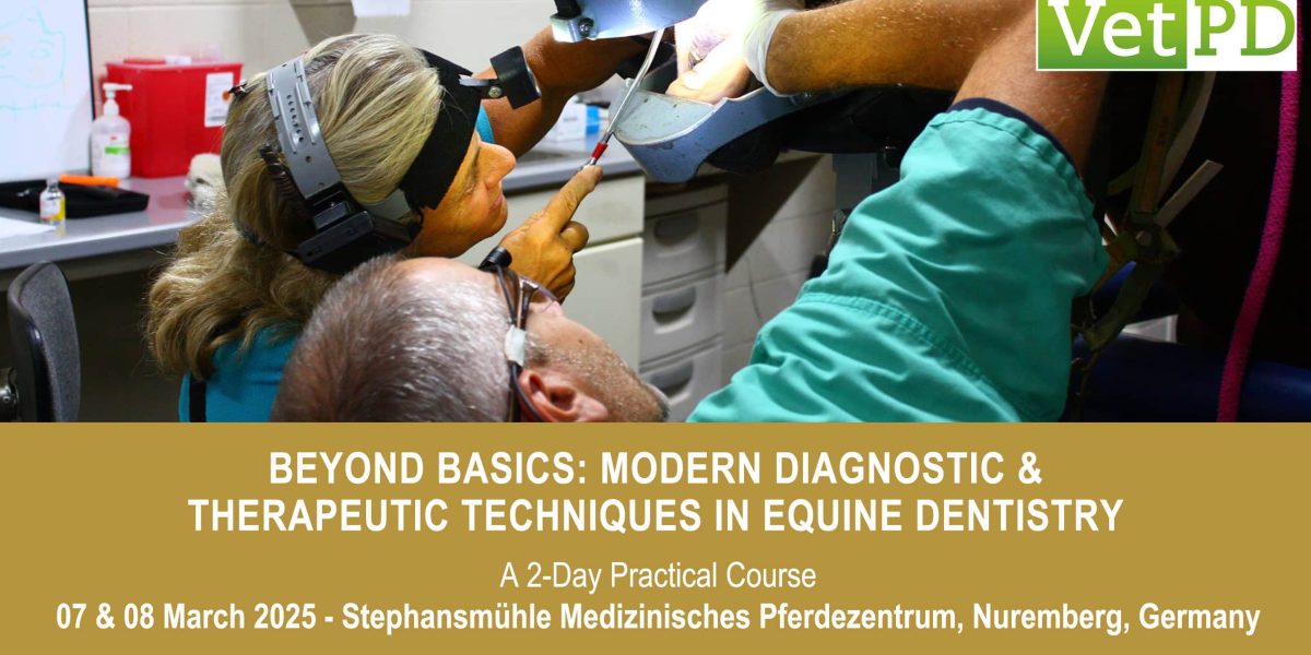 VetPD Course - Beyond Basics: Modern Diagnostic & Therapeutic Techniques in Equine Dentistry