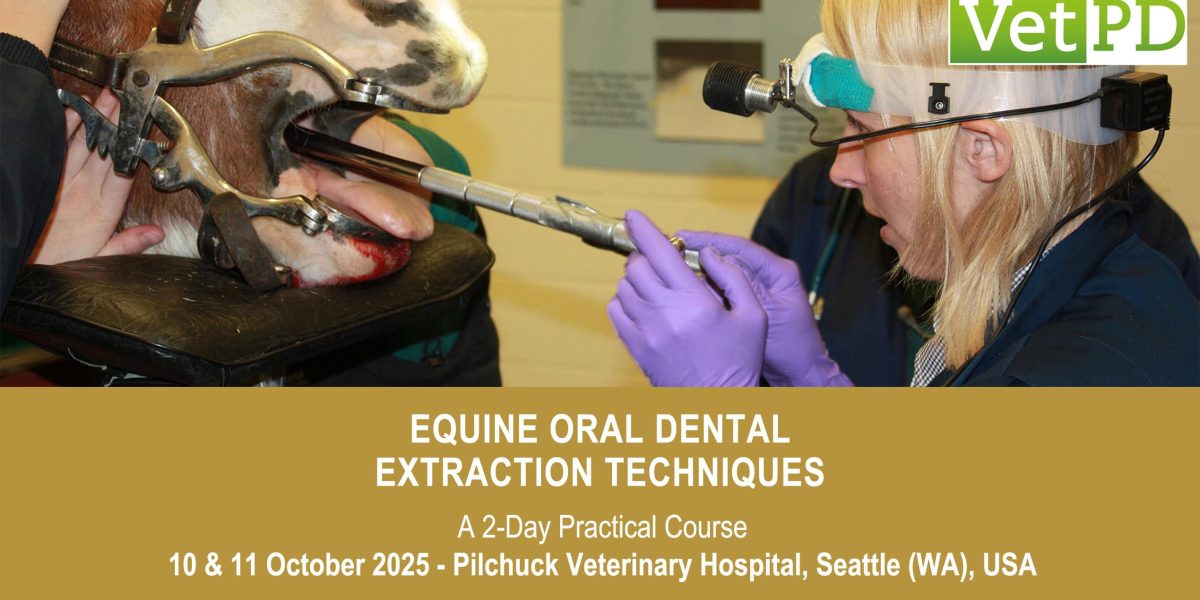 VetPD Course - Equine Oral Dental Extraction Techniques
