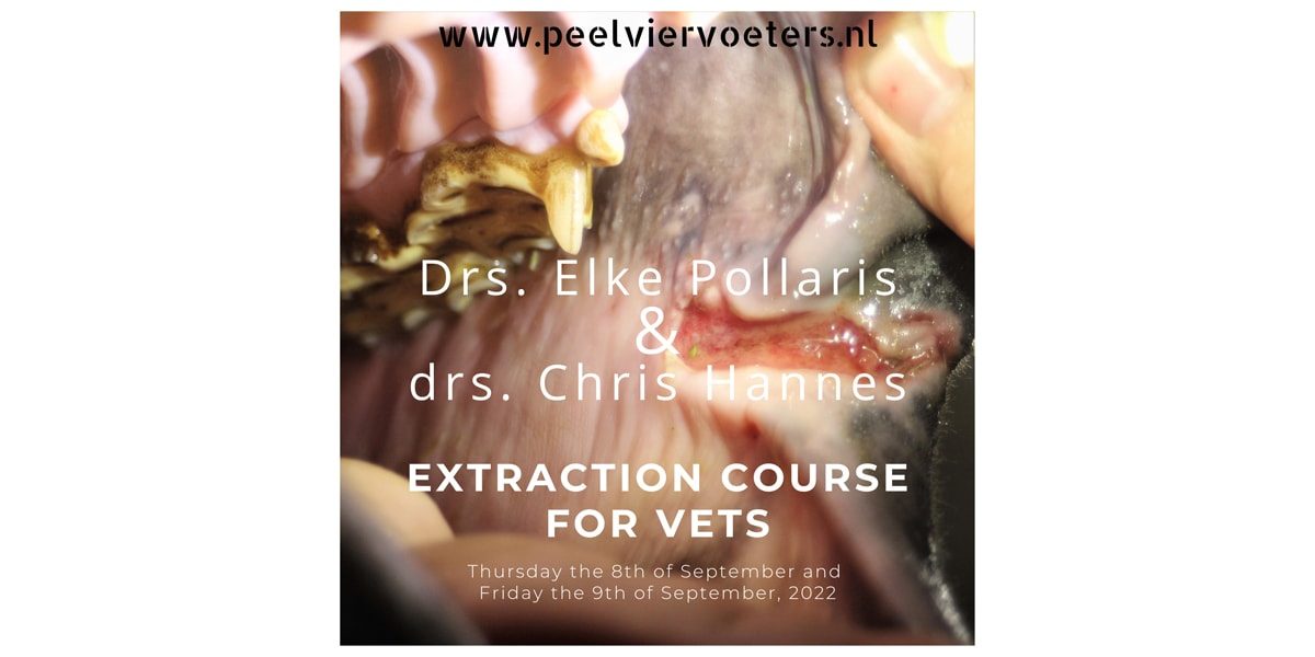 Extraction course for vets – Dr Elke Pollaris & Dr Chris Hannes Extraction course for vets - Dr Elke Pollaris & Dr Chris Hannes
