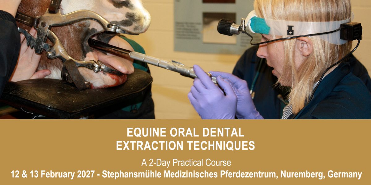 VetPD Course - Equine Oral Dental Extraction Techniques - 12 & 13 February 2027 - Germany