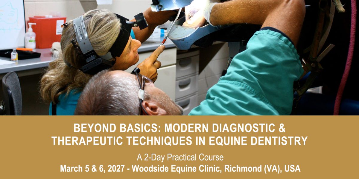 VetPD Course - Beyond Basics: Modern Diagnostic & Therapeutic Techniques in Equine Dentistry - March 5 & 6, 2027 - USA