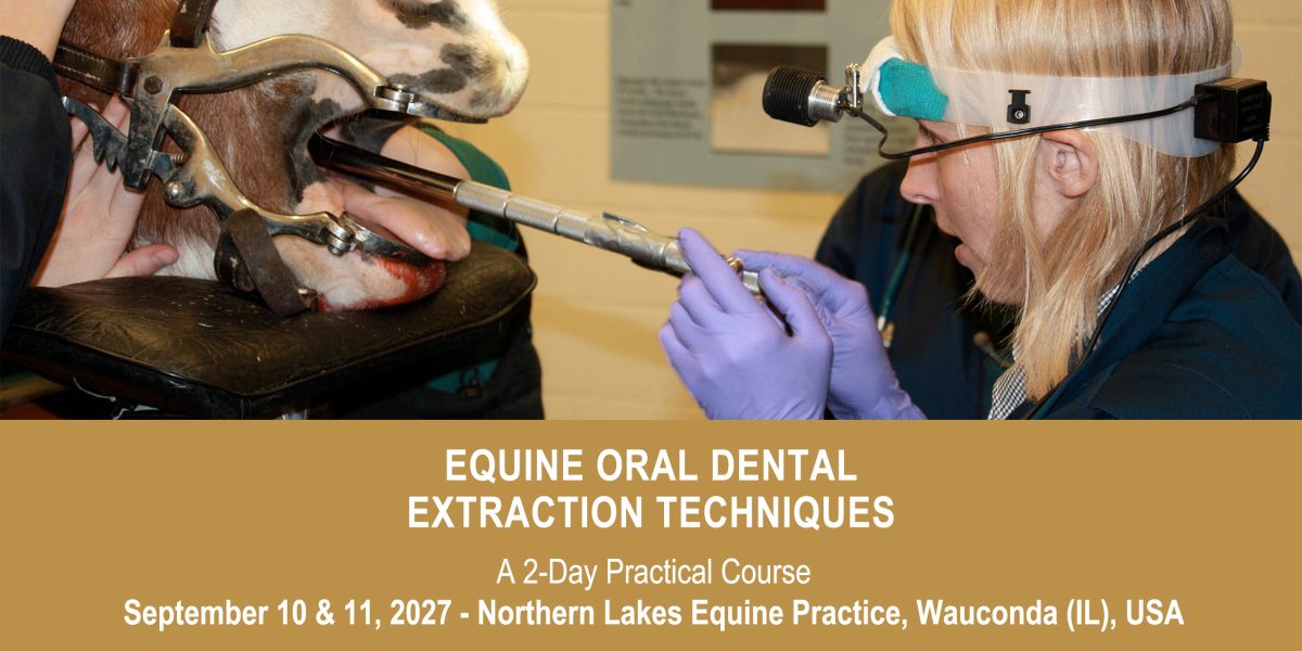 VetPD Course - Equine Oral Dental Extraction Techniques - September 10 & 11, 2027 - USA