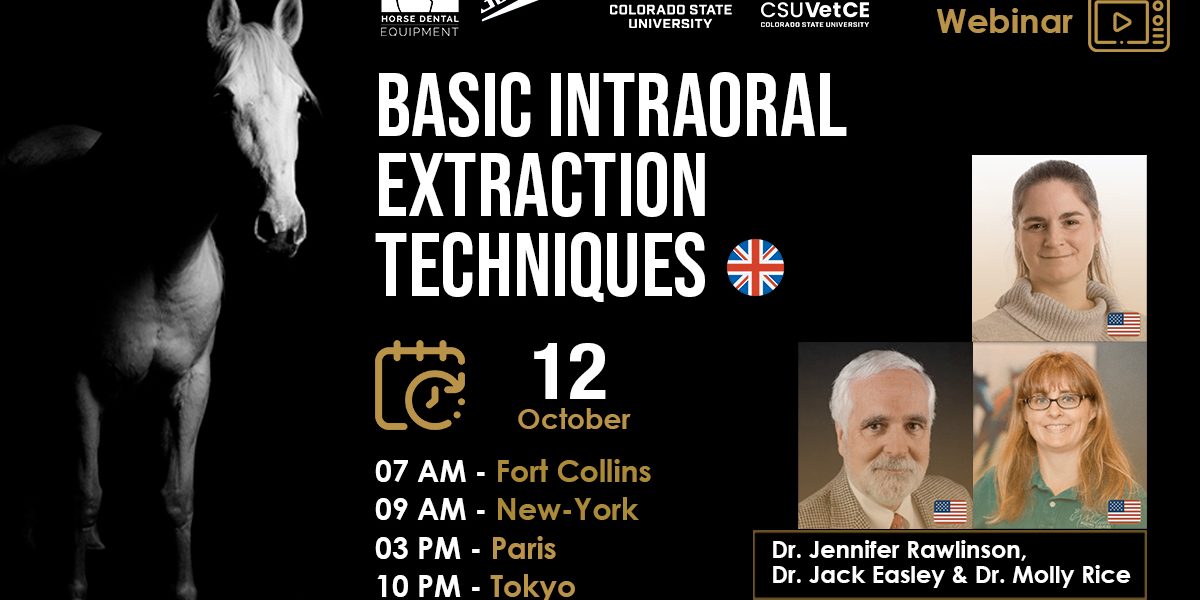 [HDE Webinar] Basic Intraoral Extraction Techniques - Dr. Jennifer Rawlinson, Dr. Jack Easley & Dr. Molly Rice