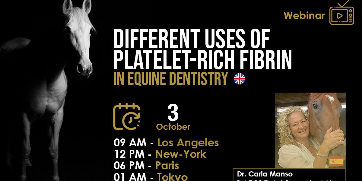 [HDE FREE Webinar] Different Uses of Platelet-Rich Fibrin in Equine Dentistry - Dr. Carla Manso