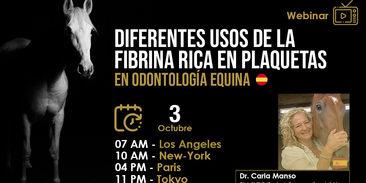 [Webinar HDE GRATUITO] Diferentes Usos de la Fibrina Rica en Plaquetas en Odontología Equina - Dra. Carla Manso