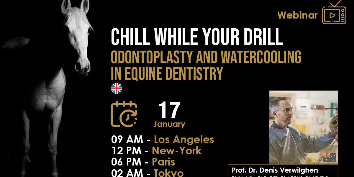[HDE Webinar] Chill while you Drill - Odontoplasty and Watercooling in Equine Dentistry - Dr. Denis Verwilghen
