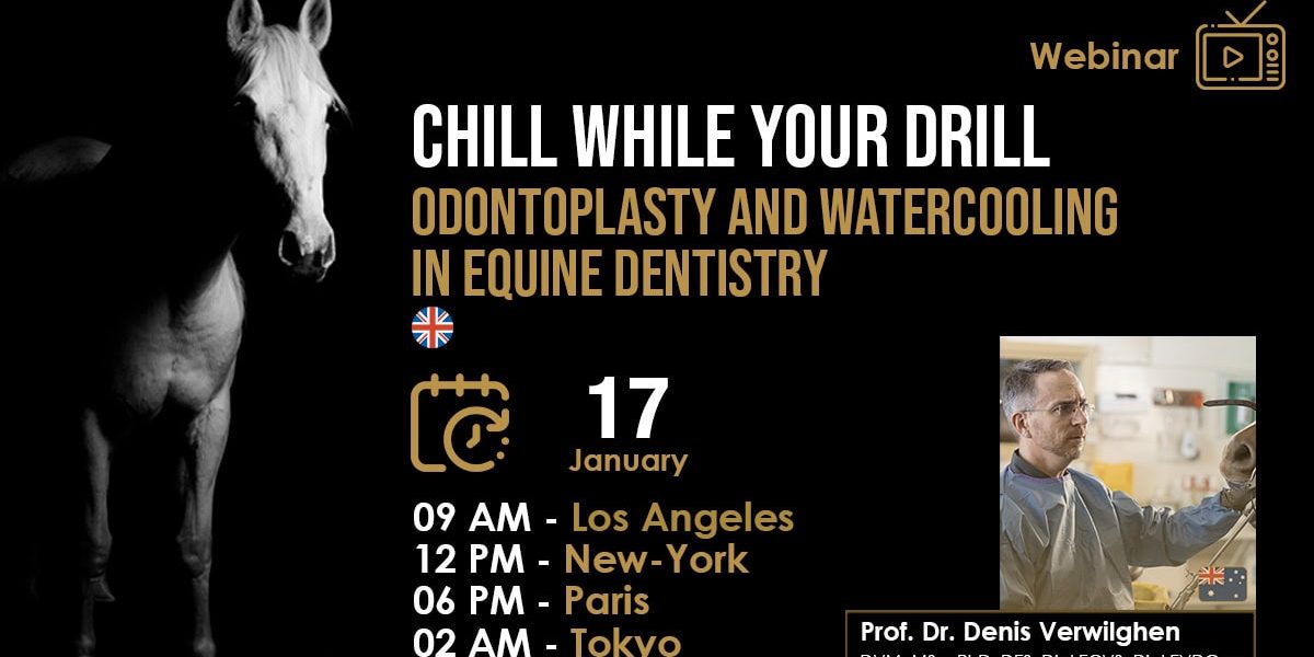 [HDE Webinar] Chill while you Drill - Odontoplasty and Watercooling in Equine Dentistry - Dr. Denis Verwilghen