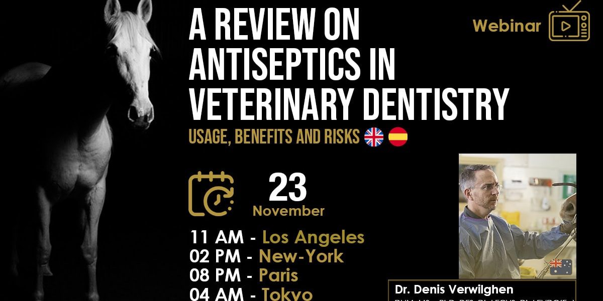 [HDE Webinar] A Review on Antiseptics in Veterinary Dentistry: usage, benefits and risks - Dr. Denis Verwilghen