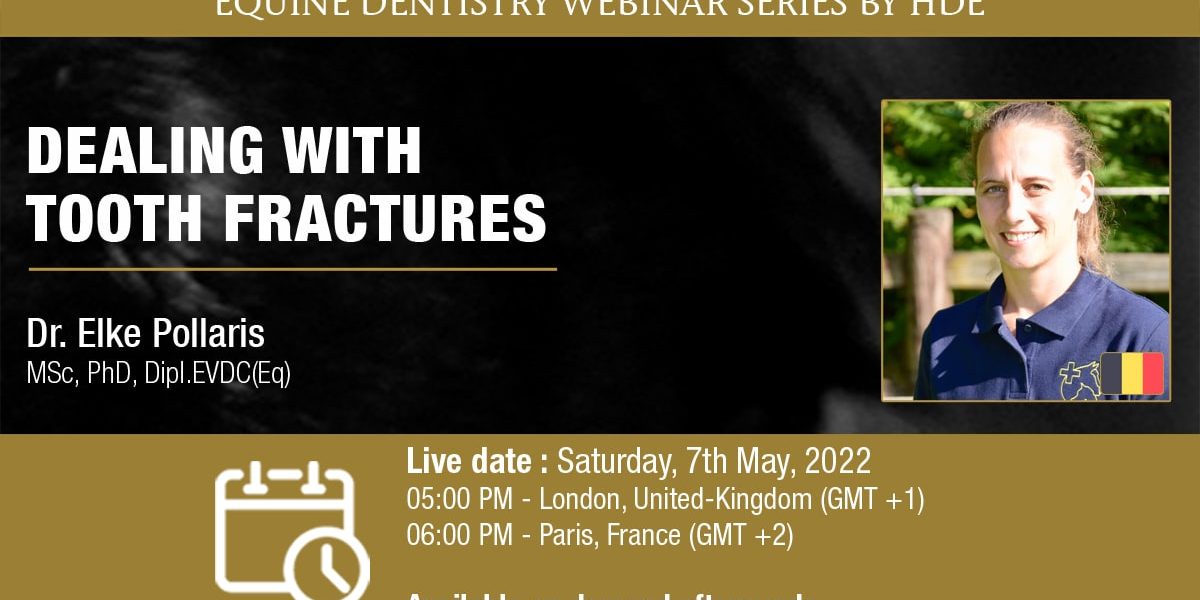 Webinar HDE - Dealing with Tooth Fractures - Dr. Elke Pollaris