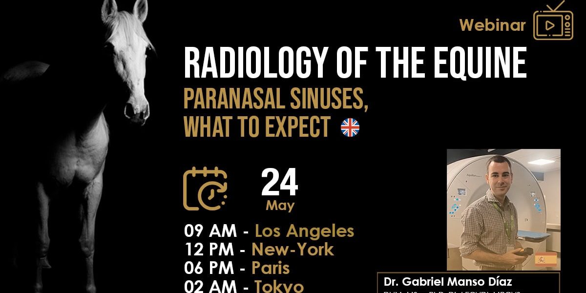 [HDE Vet Webinar] Radiology of the Equine Paranasal Sinuses, What to Expect - Dr. Gabriel Manso Díaz