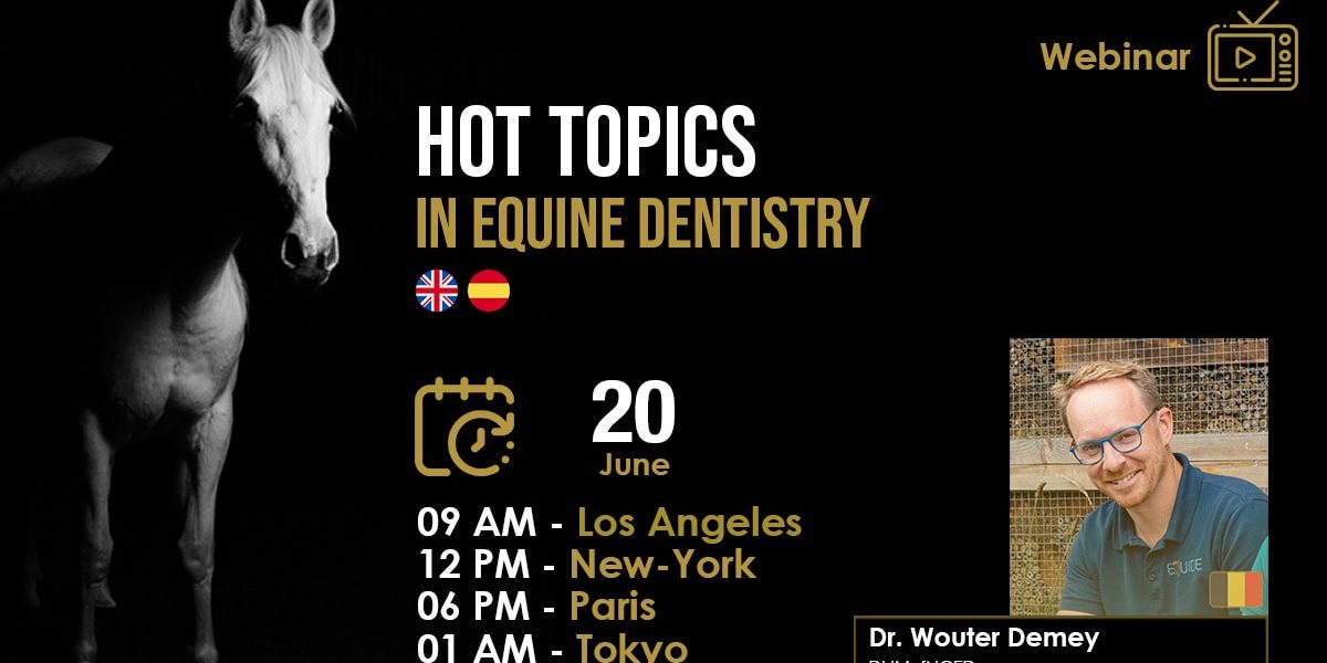 [HDE Webinar] Hot Topcs in Equine Dentistry - Dr. Wouter Demey