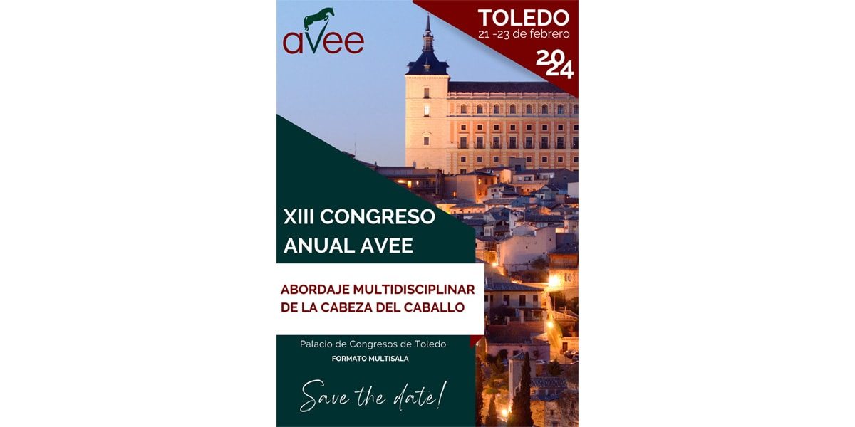 XIII Congreso Anual AVEE
