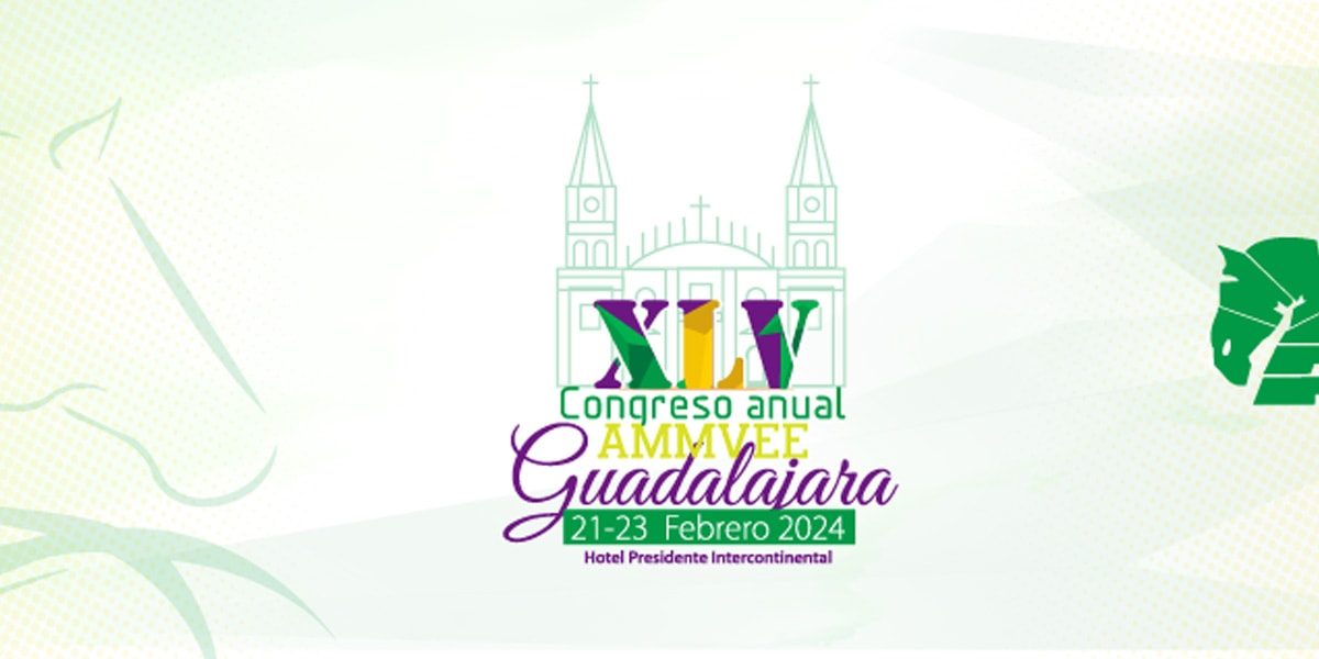 XLV Congreso Anual AMMVEE