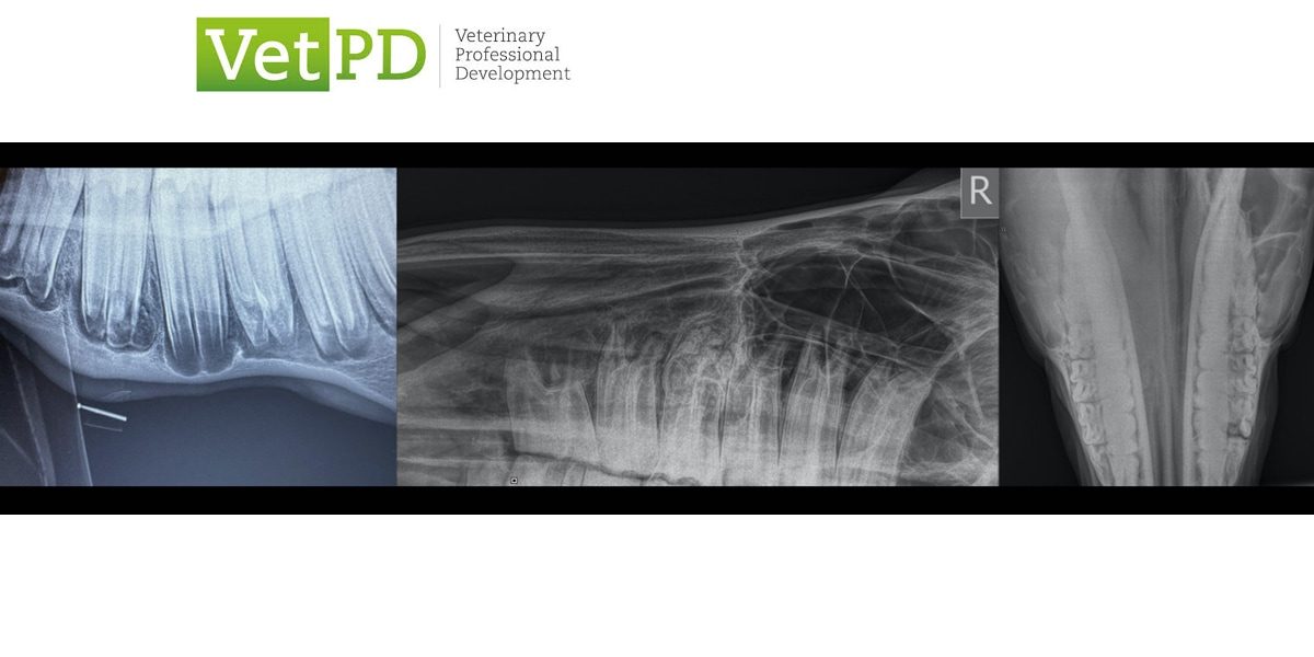 VetPD Panel Discussion - Dental Radiography - Indications, Findings & Interpretation