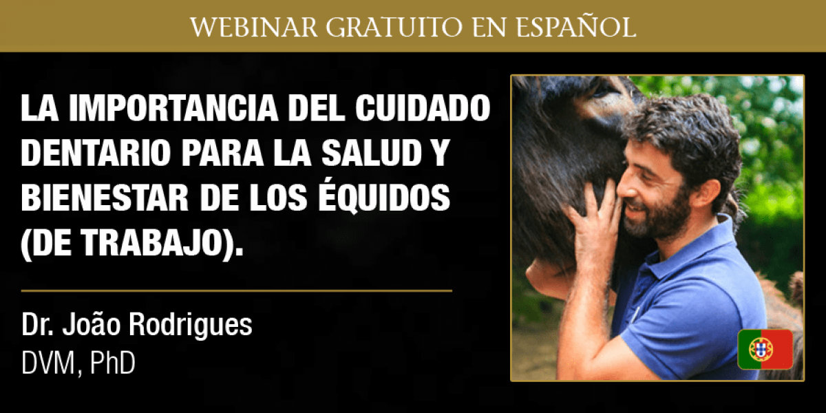 Webinar Joao Rodrigues